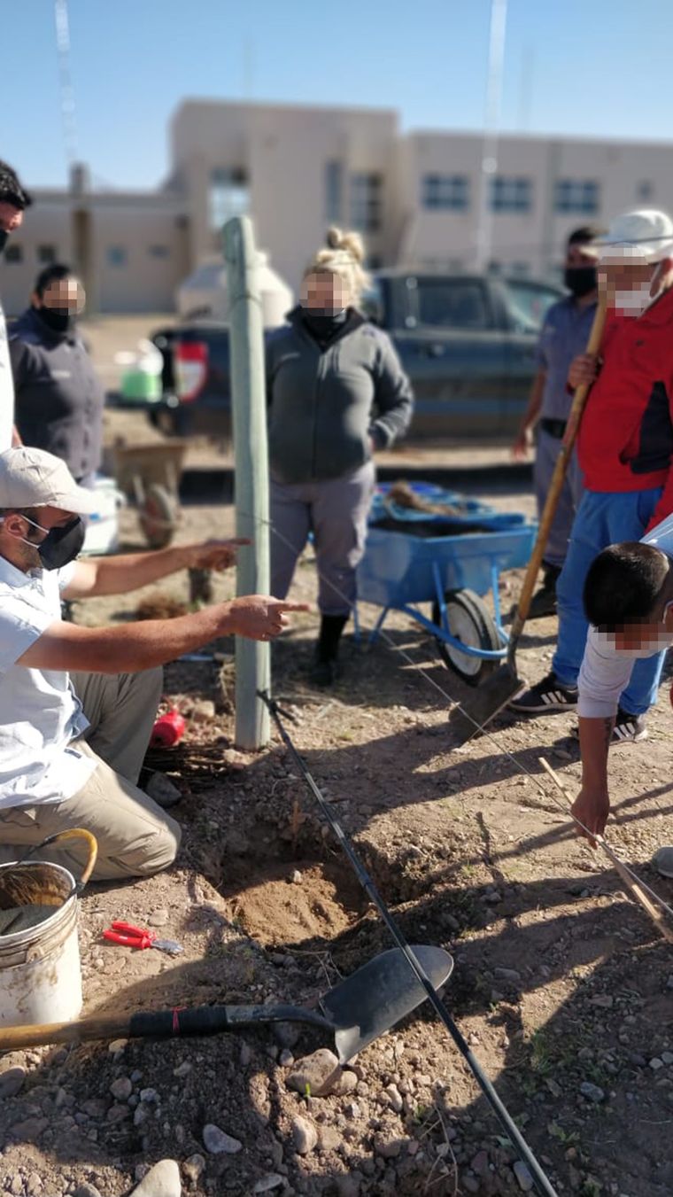 Los viñedos están ubicados en la Penitenciaría Federal Argentina en Cacheuta y en ellos trabajan internos que están prontos a recuperar la libertad. Los viñedos están ubicados en la Penitenciaría Federal Argentina en Cacheuta y en ellos trabajan internos que están prontos a recuperar la libertad.