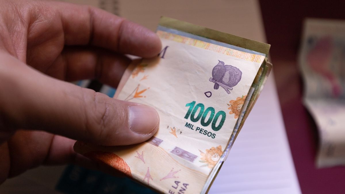 Anses: de cuánto es la prestación de desempleo en junio de 2