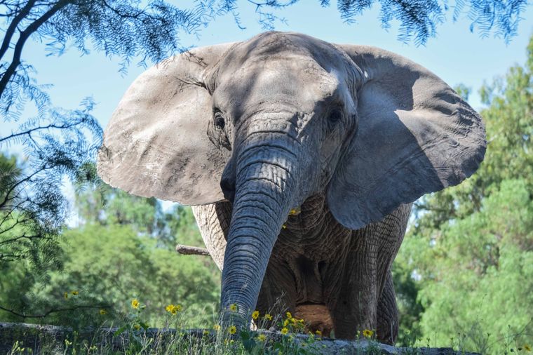 Foto: Juan Ignacio Blanco/MDZ