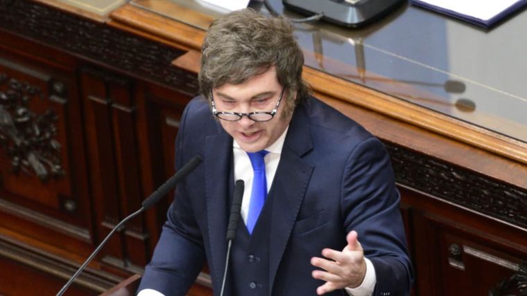 Javier Milei durante su discurso.&nbsp;