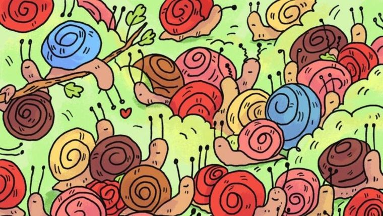 Acertijo visual, reto visual, rosa