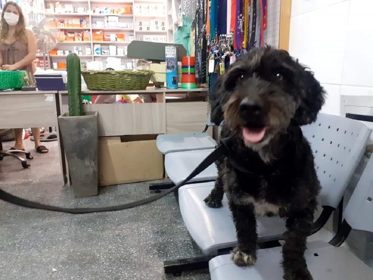 Ella como la bautizaron quienes la encontraron se encuentra en perfecto estado en Junín, Buenos Aires.