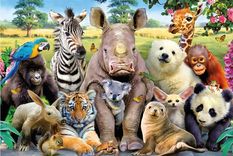 dia del animal: por que se celebra hoy y que derechos tienen en nuestro pais