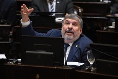 José Mayns, jefe del interbloque Unión por la Patria en el Senado. Foto: Noticias Argentinas José Mayns, jefe del interbloque Unión por la Patria en el Senado. Foto: Noticias Argentinas