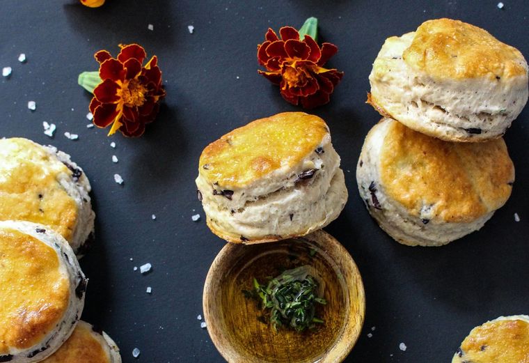 scon Foto: Shutterstock