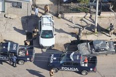 Como resultado del procedimiento, se rescataron 20 ejemplares pertenencientes a especies protegidas que estaban en cautiverio dentro de la vivienda.