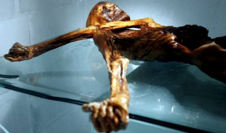 Momia Ötzi Ótzi, la inquietante momia de los Alpes. Foto: Instituto para el Estudio de las Momias en Bolzano.