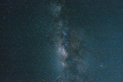 MDZol | Foto: Pexels