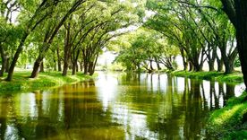 Un pueblo tranquilo con ríos y grandes árboles donde descansar bajo su sombra. Foto: Argentina Turismo
