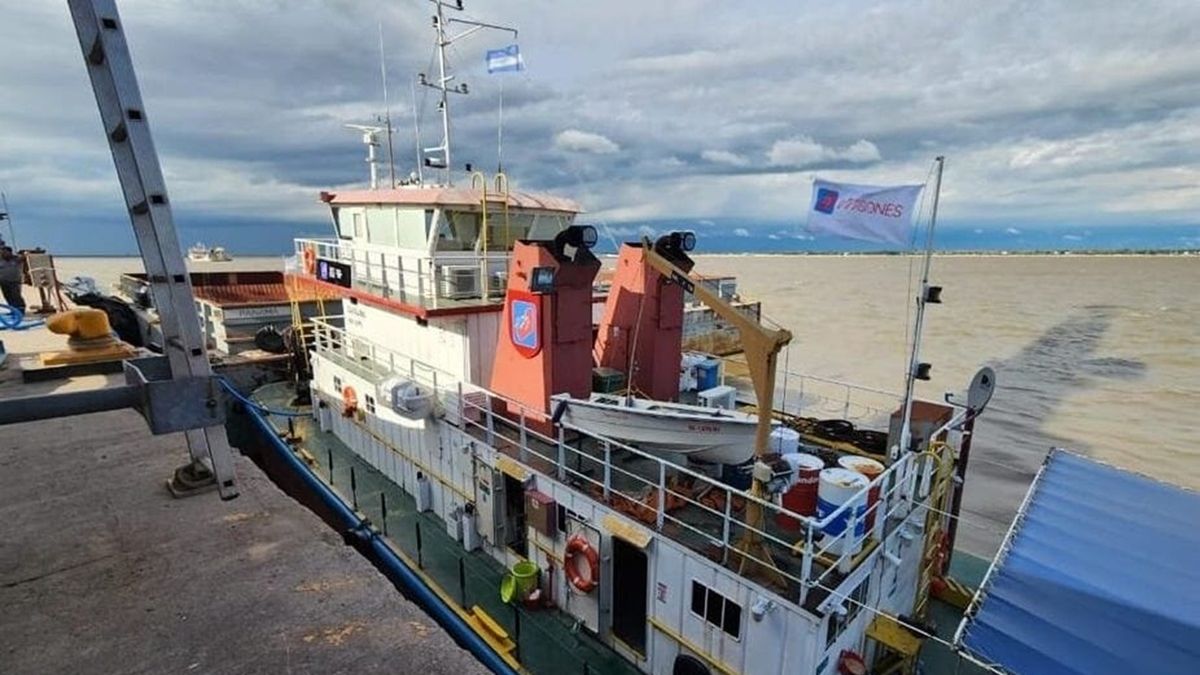 En busca de competitividad: Misiones lidera las exportaciones del NEA, sectores clave y tendencia del negocio