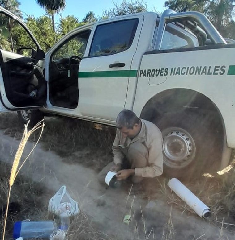 Guardaparques del Parque Nacional Río Pilcomayo, en Formosa, detectaron nuevas huellas de yaguareté Foto: Argentina.gob.ar