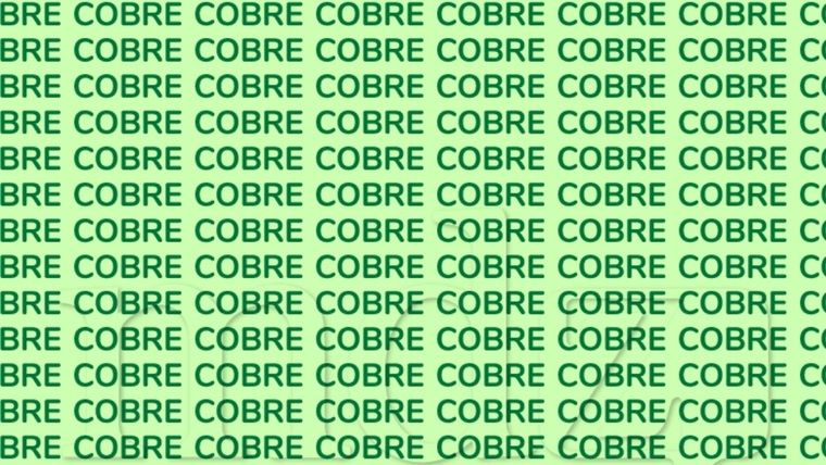 Los acertijos visuales siguen captando la atención de miles de personas y se han consolidado como una forma divertida y efectiva de entrenar la mente Foto: Archivo MDZ