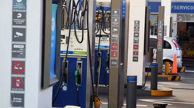 Foto: ALF PONCE MERCADO / MDZ