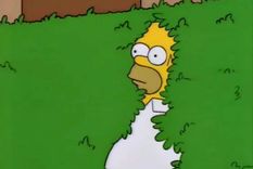 Los memes de Los SImpson generaron polémica en redes sociales.
