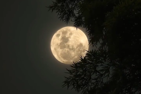 Eclipse lunar.