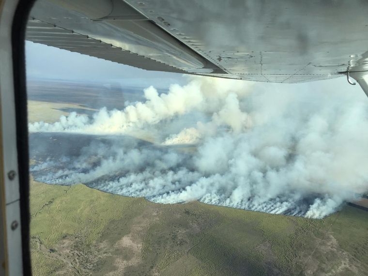 Foto: malargueadiario.com