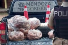La carne en mal estado secuestrada tras el operativo Las Heras.