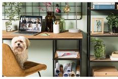 ¿como armar tu espacio de home office?