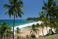 Itacaré es uno de los destinos más paradisíacos de Brasil Foto: Shutterstock