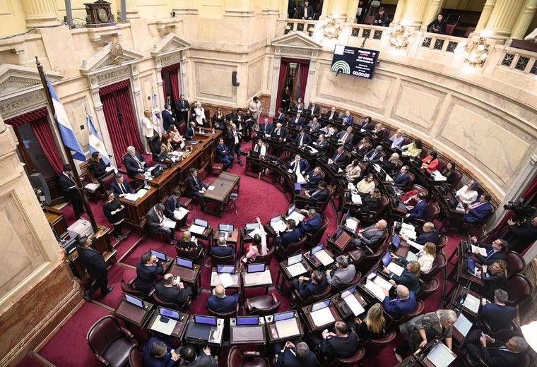 Senadores de UxP volvieron a exigir sesión para tratar el DNU Milei Foto: Noticias Argentinas