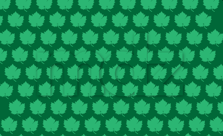 Este reto demuestra cómo la mente puede ser engañada cuando se enfrenta a elementos visuales similares Foto: Archivo MDZ