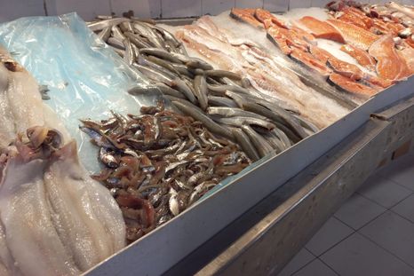 Los precios en pescaderías tuvieron un fuerte aumento en los últimos años Foto: MDZ Los precios en pescaderías tuvieron un fuerte aumento en los últimos años Foto: MDZ
