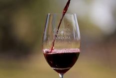 Descubrí más sobre esta propuesta protagonizada por los vinos cordobeses
