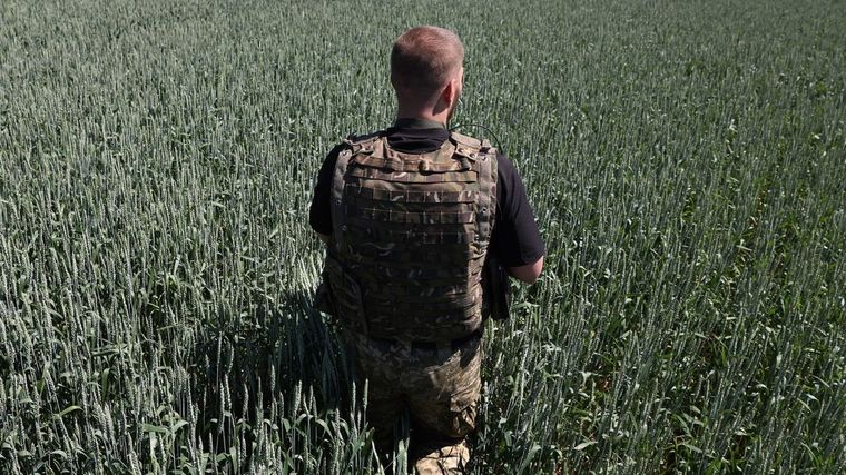 El grano ucraniano ha comenzado a salir del país. Foto: Vox.