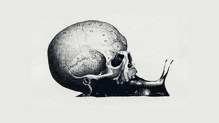 Test de personalidad Foto: Pinterest