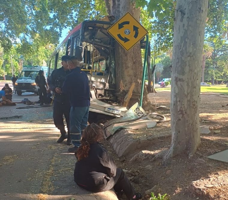 El colectivo quedó incrustado en un árbol. Foto: Ministerio de Seguridad
