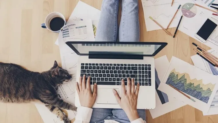 Flexibilidad no significa ausencia de reglas ni improvisación.