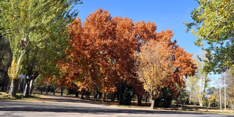 Foto: Pablo Matar/Mediamza.com