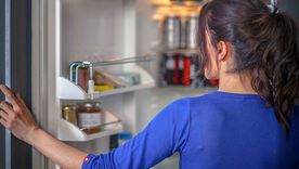 Una limpieza casera y regular mantiene el refrigerador fresco y libre de bacterias que afectan los alimentos. Foto: Shutterstock