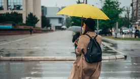 Desde el SMN aclaran que estas proyecciones no deben interpretarse como advertencias sobre tormentas o eventos extremos. Desde el SMN aclaran que estas proyecciones no deben interpretarse como advertencias sobre tormentas o eventos extremos.