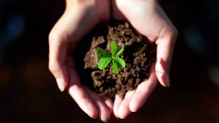 Cuida tu jardín, y cuidarás el mundo. Foto: Crédito de la imagen: Panther Media GmbH/Foto de stock de Alamy