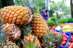 Un vendedor ambulante vendiendo piñas visto en una calle de Taipéi. Foto: GETTY IMAGES