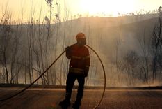 España y Francia soportan una ola de calor con incendios forestales. Foto: Dpa España y Francia soportan una ola de calor con incendios forestales. Foto: Dpa