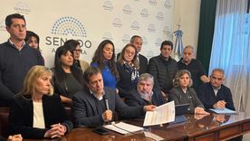 Conferencia de prensa de senadores K