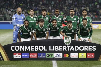 MDZol | Palmeiras