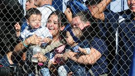 un diputado quiere prohibir el ingreso de bebes a la popular de las canchas de futbol un diputado quiere prohibir el ingreso de bebes a la popular de las canchas de futbol