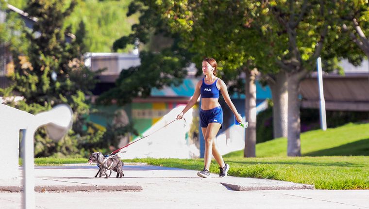 Los días frescos se acabaron por un tiempo Foto: Santiago Tagua/MDZ