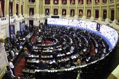 diputados realiza la primera sesion remota