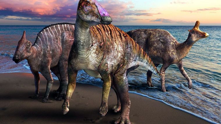 Yamatosaurus izanagii, el Pico de Pato. Foto: SamacharCentral.