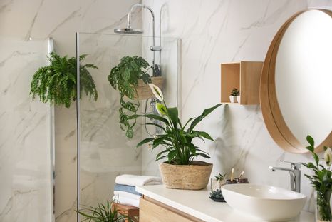 Las plantas pueden cambiar por completo la apariencia de tu baño. Las plantas pueden cambiar por completo la apariencia de tu baño.