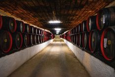 desarrollo y tendencias: llega el cuarto encuentro sobre innovacion en el vino