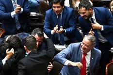 El oficilaismo cuenta con el apoyo para el quórum y para aprobar la ley.