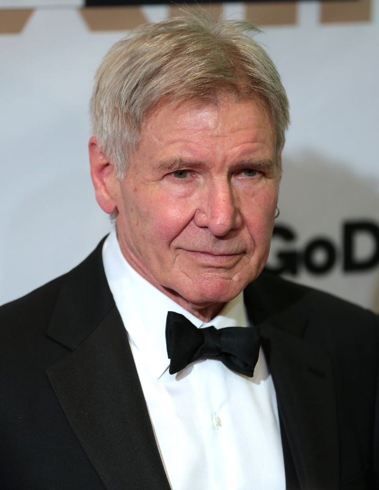 El papel de Harrison Ford en Indiana Jones lo elevó al nivel de estrella internacional.