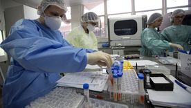 La Anmat continúa tomando medidas de fiscalización y regulación sobre el sector farmacéutico. Foto. EFE La Anmat continúa tomando medidas de fiscalización y regulación sobre el sector farmacéutico. Foto. EFE