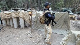 Los laboratorios desmantelados en el operativo en Chihuahua en el que, según informacionesperiodísticas, participaron los dos estadounidenses, medían 850 metros cuadrados y tenían enormes depósitos de acetona, gas y "material blanco".