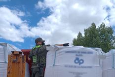 El cargamento no contaba con la autorización requerida